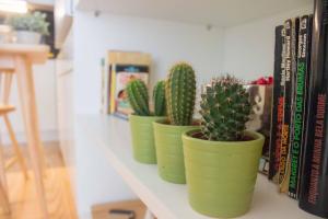 Bright Downtown Apartment