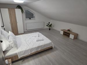 Apartment at the house, modern 1 bedroom