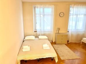 Amazing Flat in heart of Zurich Old Town Glocken
