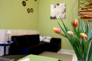 Vivid Rozsa Apartment