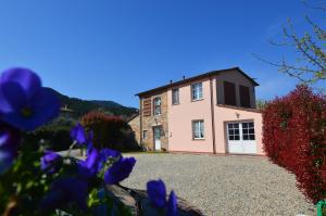 Casina di Elena Pool and Relaxation in Tuscany