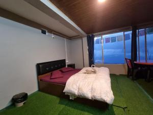 North Queen Homestay