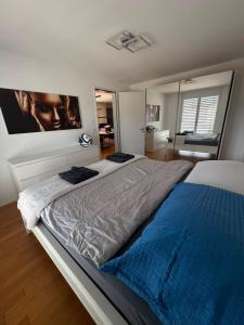 Luxury Penthouse-Apartment mit Rooftop-Terrasse