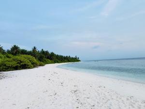 Sevenseas Seaview Maldives