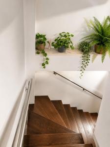 Apartamento Loft Los Barriles