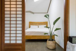 Private Stay in Mandarin Orchard, 100m from Sea
