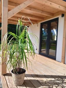 Tiny house Na louce