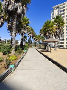 Modern apartment with navigable lagoon in Algarrobo
