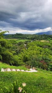 Infinity pool, mountain views and horses