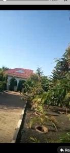 Safari Apollo Villa