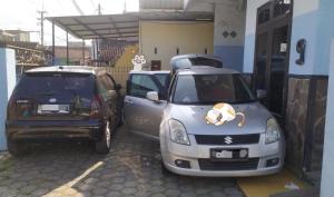 Guest House Backpacker Kos