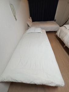 Ueno Hotel Palazzto