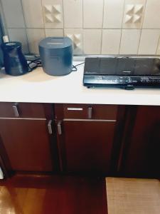 Only 60 minutes from the city center Sagamiko Basshouse, a whole house rental overlooking the lake