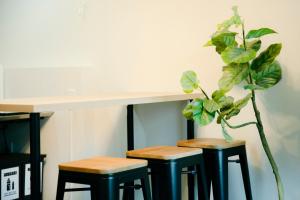 Tasone Stay OSAKA NHB102