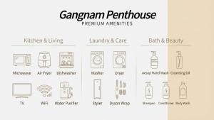 Gangnam Penthouse
