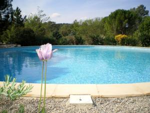 Maisons de vacances La Cigale : photos des chambres