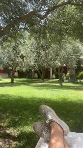 Residence Sa Pintadera
