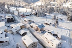 Lenzerheide Luxury Spa Shower, Mountain View