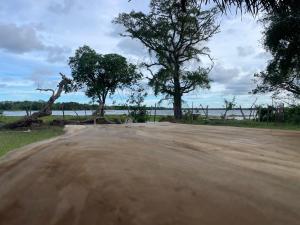 Foresta yala