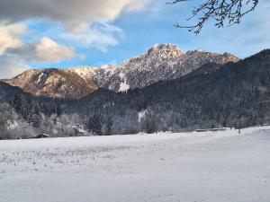 Apartma Storžič