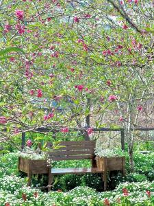 Đồi Hoa Đào homestay & coffee
