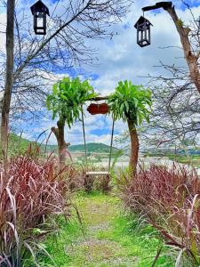 Đồi Hoa Đào homestay & coffee