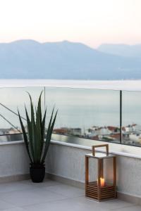Serenitas Loft