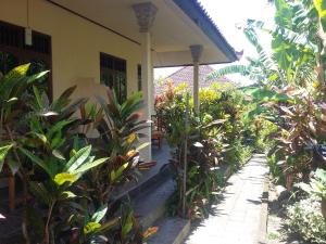 Surya Homestay