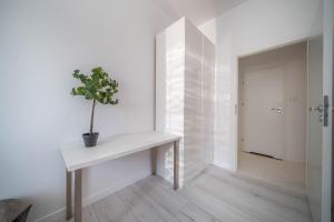 Grzybowska City Center Apartament