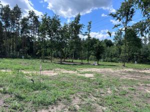 Wronia Camp