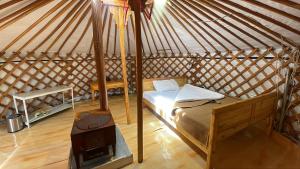 Steppe Horse Camp