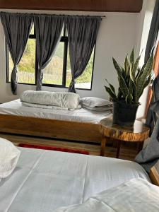 Munal Homestay