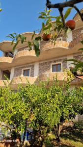 Maria Apartments Near Airport