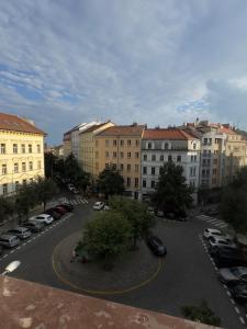 Bright and spacious apartment in the Vinohrady