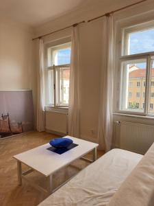 Bright and spacious apartment in the Vinohrady