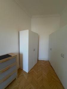 Bright and spacious apartment in the Vinohrady
