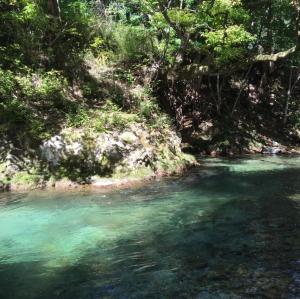 Miyori Hometown Experience Village Campsite (Nakam - Vacation STAY 34967v