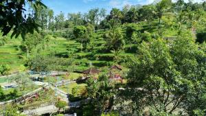Live lombok homestay