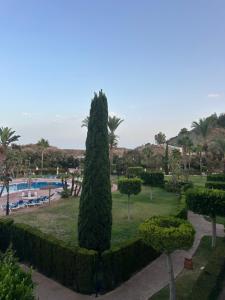 Spainrent VIP apartments Spirit