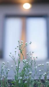 Nana Vacation House - An elegant secluded family vacation house in Fruška gora