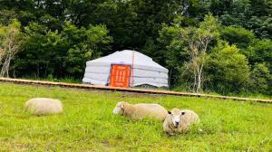 Mini Mongolian Campsite - Vacation STAY 55337v