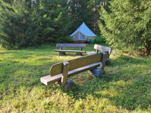 Raja metsaglämping