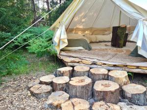 Raja metsaglämping