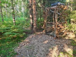 Raja metsaglämping