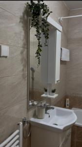 Apartman Milkovic 2