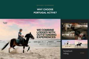 Coastal Horizon by Portugal Active