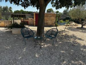 Provençal House