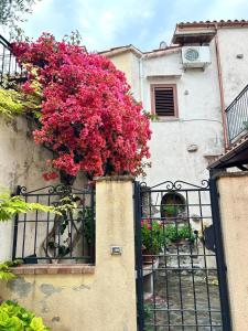 Melody Garden Scalea Calabria