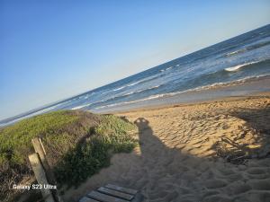 Orca La Vida