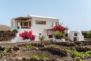 Canaryislandshost I Camellera